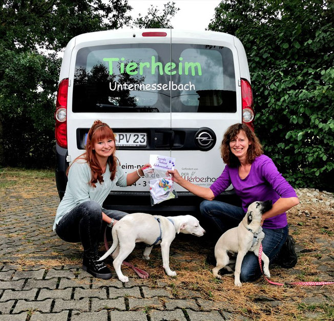Kreative Spende ans Tierheim Unternesselbach