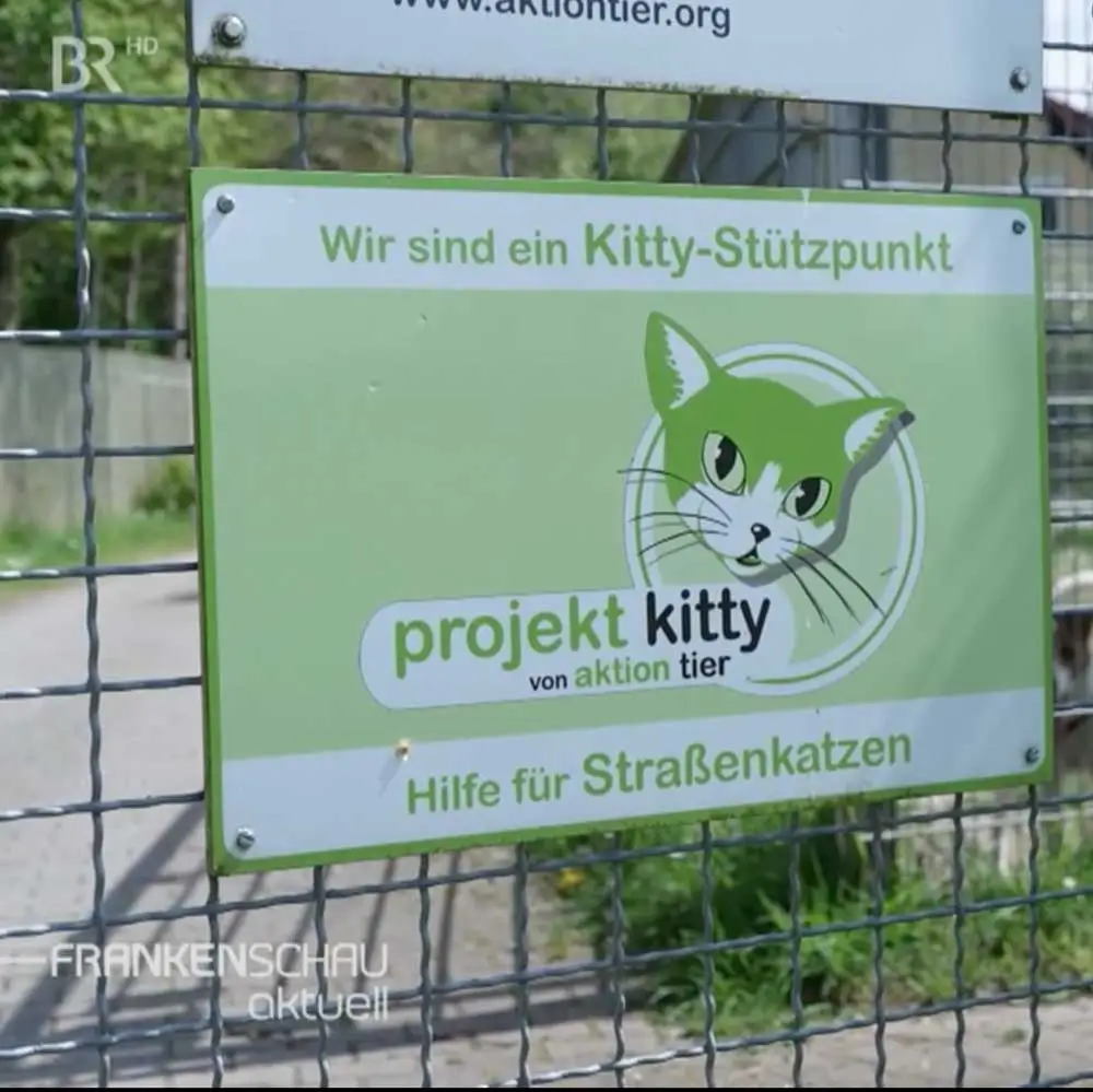 Winterfeste Katzenhaus Outdoor - Isolierte Unterkunft Für Streunerkatzen